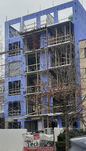 WEBSITE need to edit